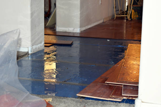 Professional Water Damage Restoration technician working in Floresville, TX